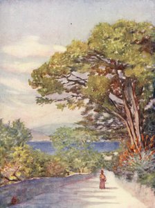 Eine Straße in Gibraltar von Augustine Fitzgerald