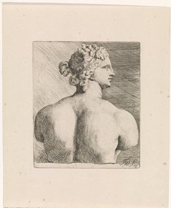 Büste der Venus de