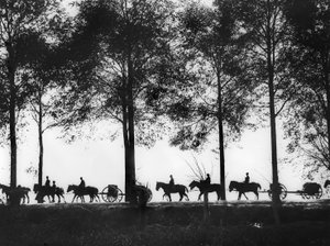 Eine Ansicht, im Silhouette, von australischen Artillerie-Limbers, die mit Munition beladen sind und entlang der Ypres-Straße fahren, 25. September 1917