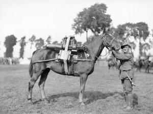 Ein australischer Soldat, 244 Fahrer F W Stephenson, 2. Australisches Maschinengewehrbataillon, mit einem Packpferd, das mit einem Maschinengewehr beladen ist, an der australischen Packtrainingsschule in Morbecque, 29. August 1917 von Australian Photographer