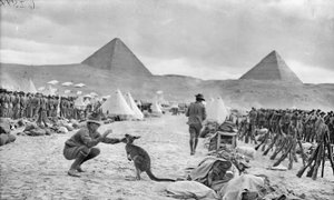 Reihen der australischen 9. und 10. Bataillone im Mena Camp, Blick auf die Pyramiden, Dezember 1914