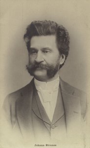 Porträt von Johann Strauss II von Austrian Photographer