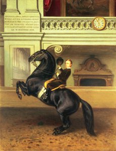 Kronprinz Rudolf von Österreich (1858-89) zu Pferd in der Winterreitschule der Hofburg, Wien, 1870 von Austrian School