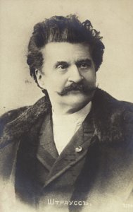 Porträt von Johann Strauss II von Austrian School