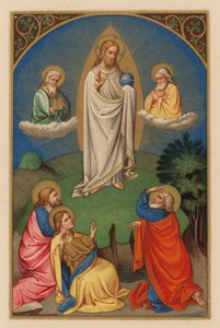 Verklärung des Herrn Jesus Christus von Austrian School