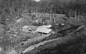 Fazenda de Criação Campos do Jordão, Criação Farm, 1895 von Axel Frick