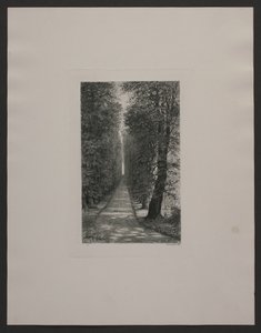 Sukkenes allé von Axel Holm