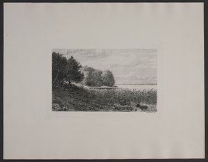 Ved Esrum sø