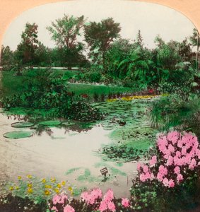Seerosenteich, Tower Grove Park, St. Louis, Mo., USA, 1897 von B. L. Singley