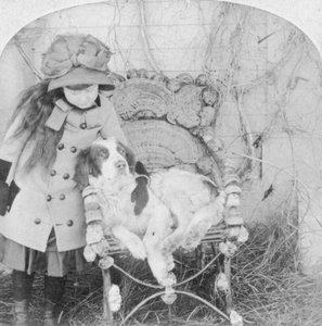 Kannst du nicht sprechen, Jack, 1882 von B. W. Kilburn