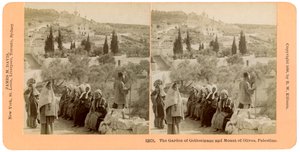 Der Garten Gethsemane und der Ölberg, Palästina, 1898 von B. W. Kilburn