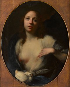 Gemälde eines jungen Mädchens mit weißer Taube von Baldassare (1611 89) Franceschini
