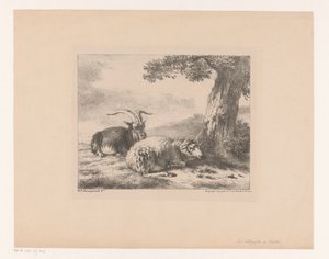 Bock und Schaf von Balthasar Paul Ommeganck