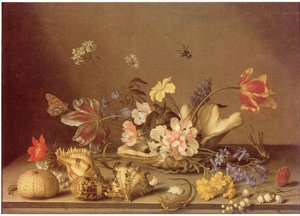 Stillleben mit Blumen und Muscheln