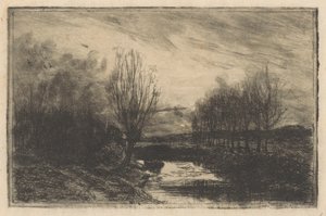 Graben mit Kopfweiden von Barbara Elisabeth van Houten