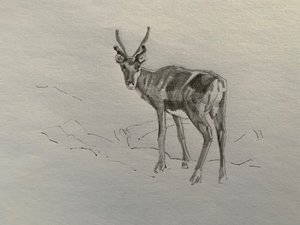 Rentier, 2019 von Barbara Hoogeweegen