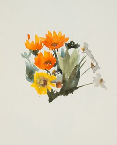 Orange Blumen von Barbara Leigh Smith Bodichon