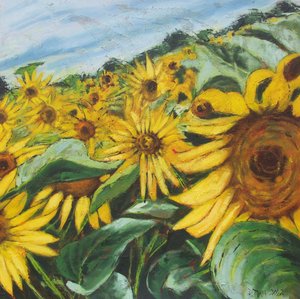 Goldenes Sonnenblumenfeld
