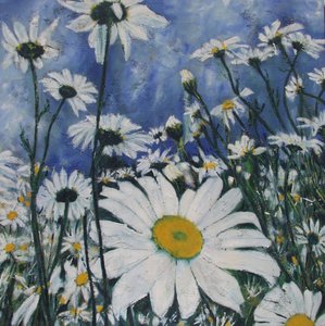 Weißes Gänseblümchenfeld von Barbara Piatti
