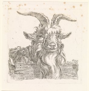 Kopf einer Ziege von Barend Hendrik Thier