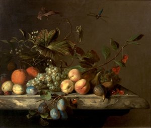 Fruchtstück mit Libelle von Barend or Bernardus van der Meer