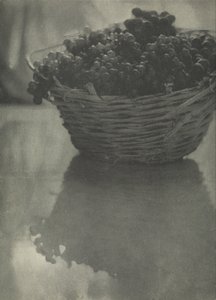 Stillleben mit Trauben