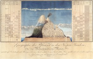 Geographie der Pflanzen in tropischen Ländern, eine Studie der Anden, gezeichnet von Schoenberger und Turpin, gedruckt von Langlois, Paris