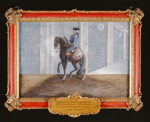 Nr. 20 Ein Apfelschimmel der Spanischen Hofreitschule führt den Volte-Dressurschritt aus von Baron Reis Eisenberg