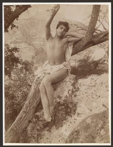Jugend im Baum mit erhobenem Arm von Baron Wilhelm von Gloeden