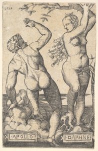 Apollo und Daphne, umgekehrte Kopie, n.d.