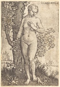 Kleopatra von Barthel Beham