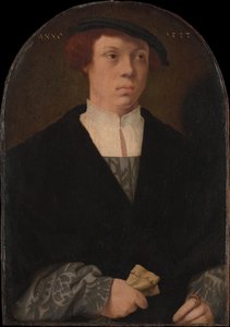 Porträt eines Mannes, 1533 von Bartholomaeus Bruyn the Elder