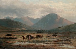 Torfmoor, Letterfrack, Connemara von Bartholomew Colles Watkins