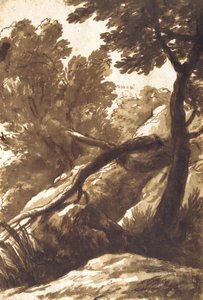 Waldlandschaft von Bartolomeo Torregiani