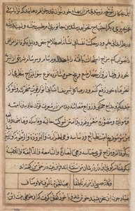 Seite aus Geschichten eines Papageis Tuti-nama: Textseite, ca. 1560 von Basavana