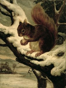 Ein rotes Eichhörnchen, das eine Nuss isst