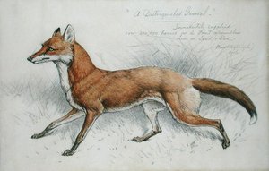 Ein angesehener General von Basil J. Nightingale