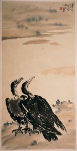 Zwei Kormorane