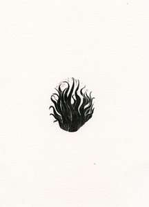 Feuer, 2017
