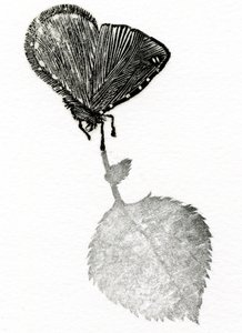 Spannung, 2014 von Bella Larsson