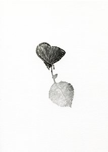 Spannung, 2014 von Bella Larsson
