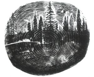 Zwei Wälder, 2016 von Bella Larsson
