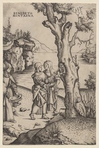 Geburt des Adonis (aus der Serie: Die Metamorphosen) von Benedetto Montagna