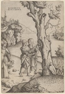 Die Geburt des Adonis von Benedetto Montagna