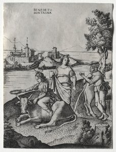 Raub der Europa, ca. 1515-1520 von Benedetto Montagna
