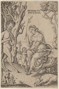 Satyrfamilie von Benedetto Montagna