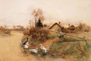 Planschende Enten