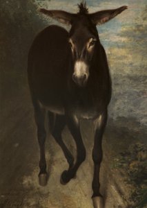 Ein sizilianischer Esel von Benjamin Haydon
