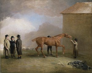 Muly Moloch, ein kastanienbraunes Fohlen, das auf der Newmarket Heath abgerieben wird, mit Porträts von Trotter, Hardy und Thompson links (Öl auf Leinwand)