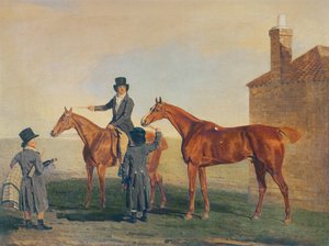 Goldammer, ca. 1800